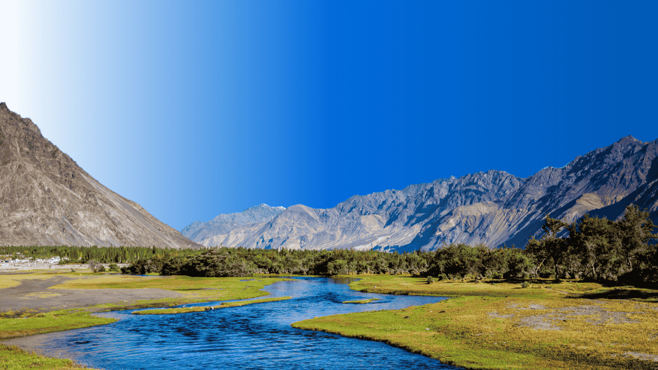 Responsive Banner